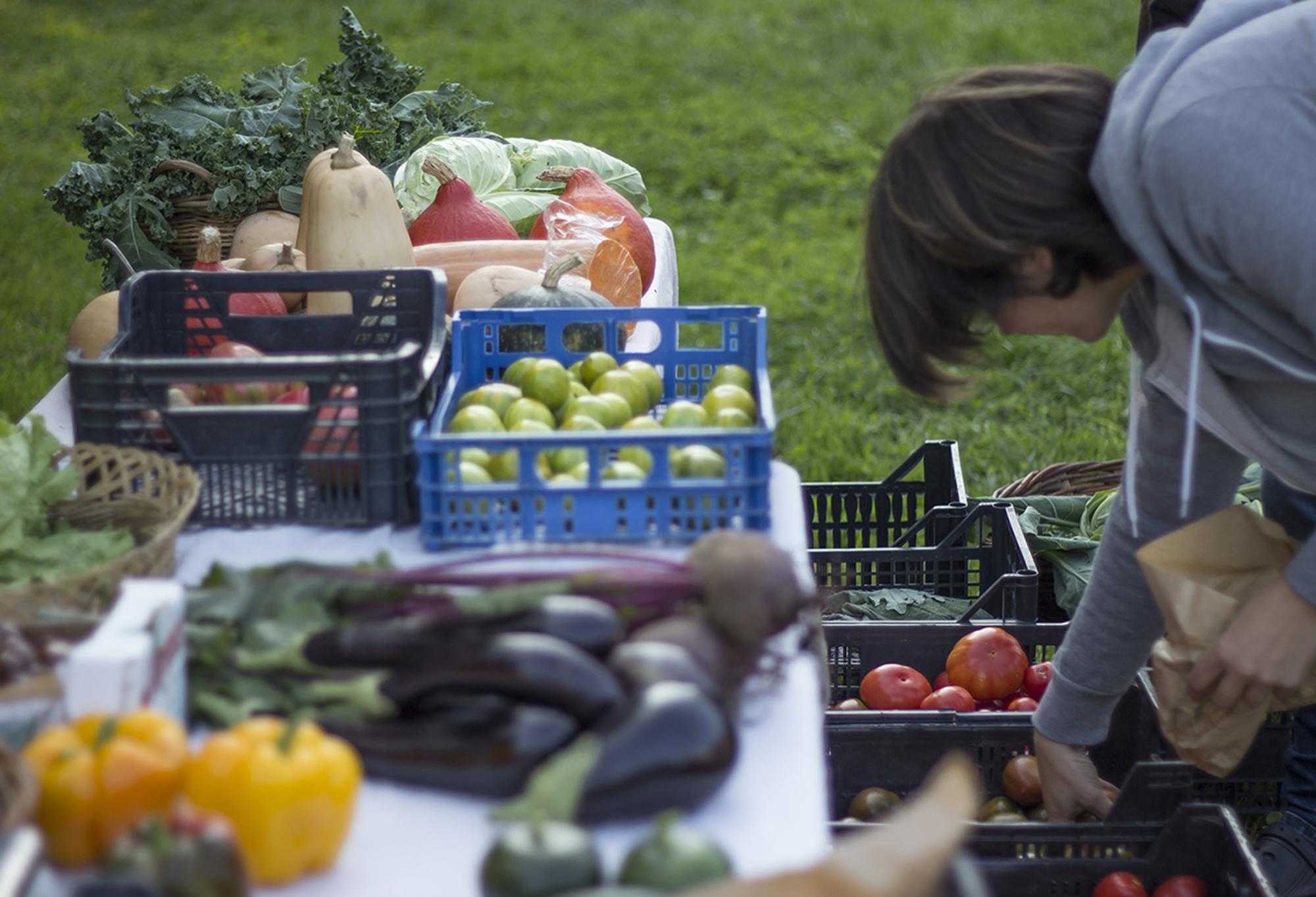 Economía social en Galiza_1